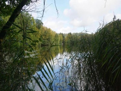 Holiday park Bungalow im Feriendorf Uslar mit Gartenterrasse - Environment photo 29
