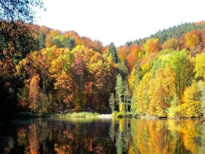 Holiday park Bungalow im Feriendorf Uslar mit Gartenterrasse - Environment photo 31