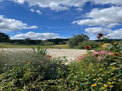 Holiday park Bungalow im Feriendorf Uslar mit Gartenterrasse - Environment photo 33