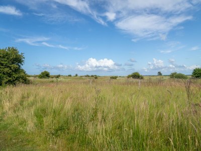 Holiday park Gemütliche Villa in der Nähe von Meer und Dünen - Outdoor photo 3