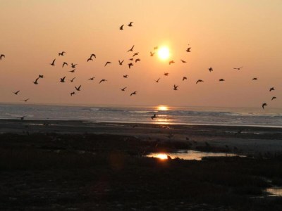 Holiday park Gemütliche Villa in der Nähe der Dünen - Environment photo 17