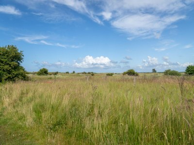 Holiday park Villa with Pet Access - Outdoor photo 30