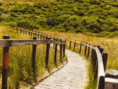 Holiday park Hollum Family Holiday Home - Environment photo 15