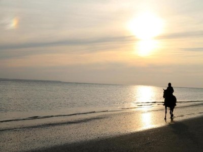 Holiday park Hollum Family Holiday Home - Environment photo 23