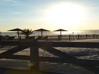 Holiday park Bungalow in 's-Gravenzande with Nautical Charm - Environment photo 19