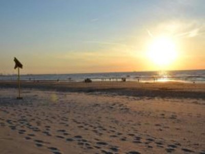 Holiday park Bungalow in 's-Gravenzande with Nautical Charm - Environment photo 23