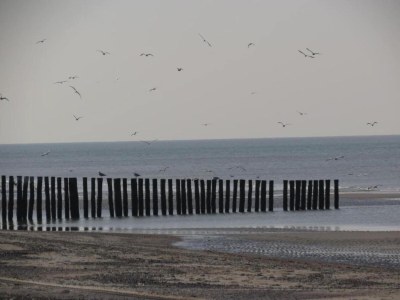 Holiday park Stilvoller Kurzurlaub in Zeeland - Environment photo 32