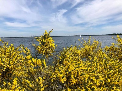 Holiday park Villa mit Sauna und Garten - Environment photo 19