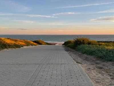 Holiday park Apartment in Zeeland with Luxury Amenities - Environment photo 29