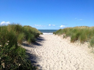 Holiday park Comfort Lodge in Boomhiemke - Environment photo 19