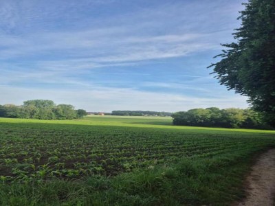 Holiday park Familienurlaub in Bad Bentheim - Environment photo 13