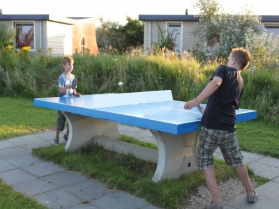 Holiday park Bungalow in South Holland with Unique Design - Outdoor photo 39