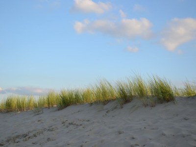 Holiday park Bungalow in Dunes with Nautical Charm - Environment photo 21