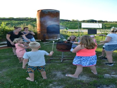 Holiday park Bungalow in Dunes with Nautical Charm - Outdoor photo 38