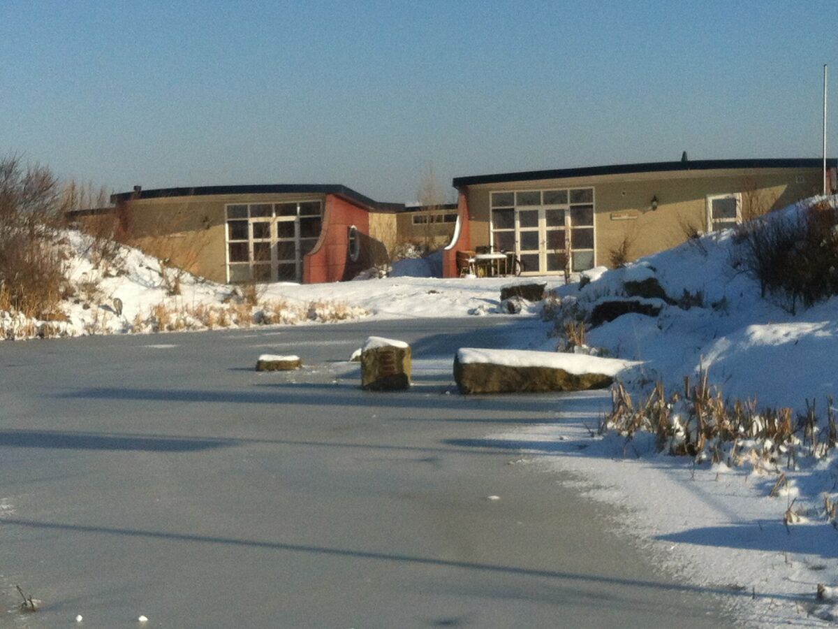 Holiday park Bungalow in Netherlands with Dune Garden - Outdoor photo 5