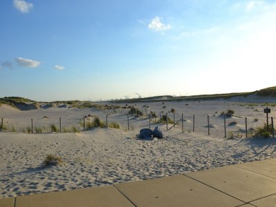Holiday park Bungalow in Netherlands with Dune Garden - Environment photo 18