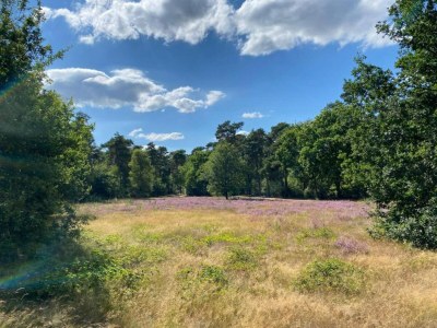 Holiday park Villa in Someren nahe Somerense Heide - Environment photo 29