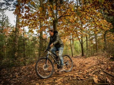 Holiday park Villa in Someren nahe Somerense Heide - Outdoor photo 37