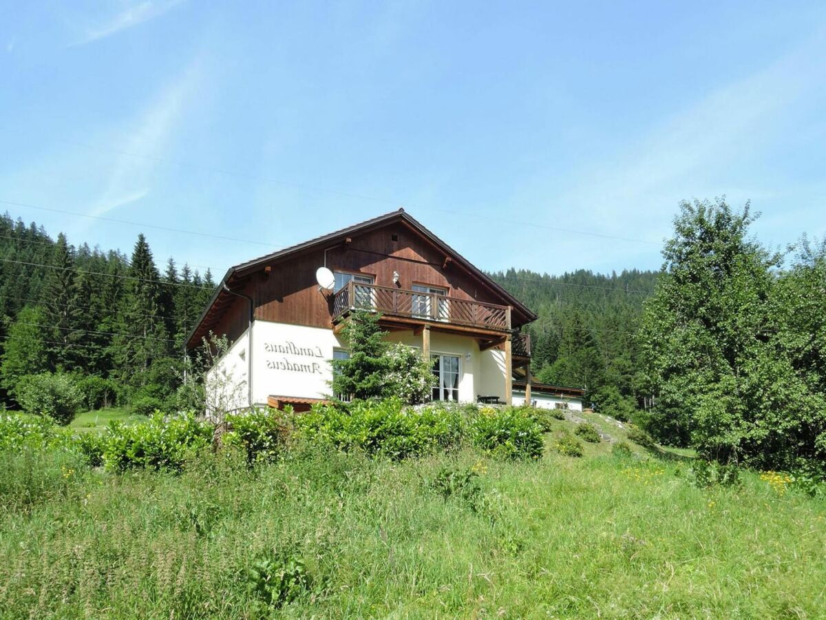 Apartment Chalet in Radstadt near Ski Slopes & Spa - Outdoor photo 5