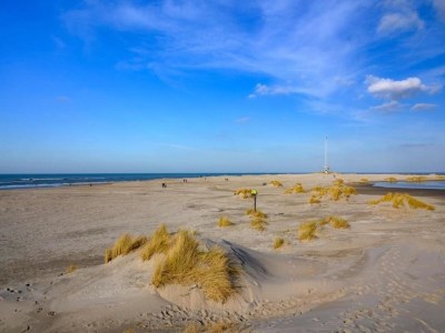 Holiday park Bungalow in Netherlands with Accessible Design - Environment photo 27