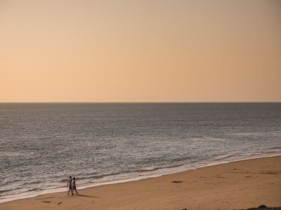 Holiday park Lodge in Vlissingen near North Sea Beach - Environment photo 29