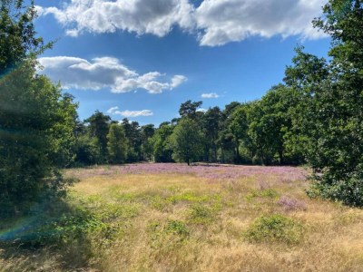 Holiday park Villa in Someren nahe Golfplatz - Environment photo 15