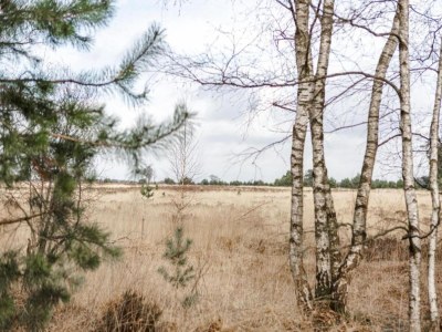 Holiday park Villa in Someren nahe Golfplatz - Environment photo 22