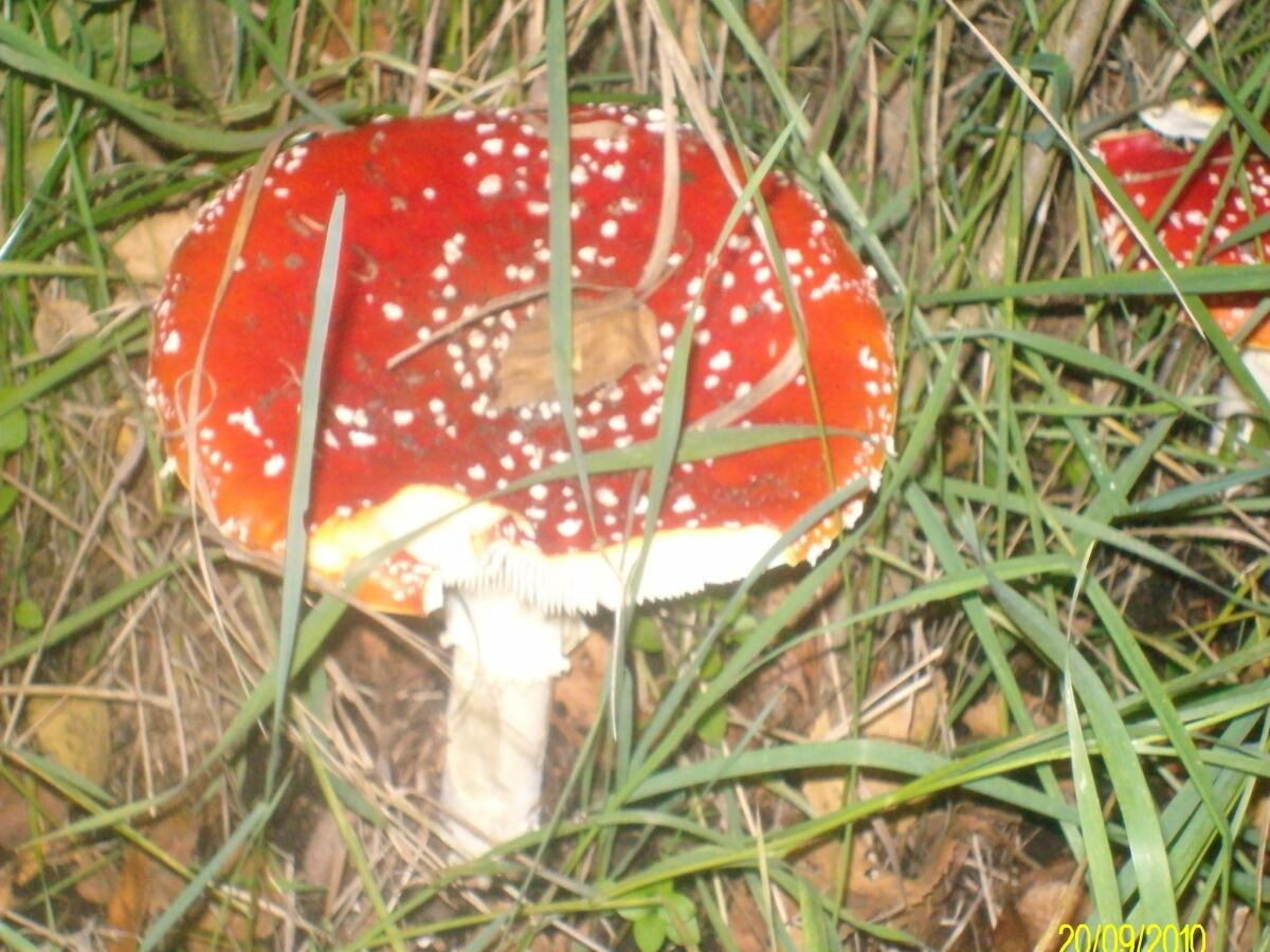 Holiday park Quiet Glade Stay with Kid - Outdoor photo 3