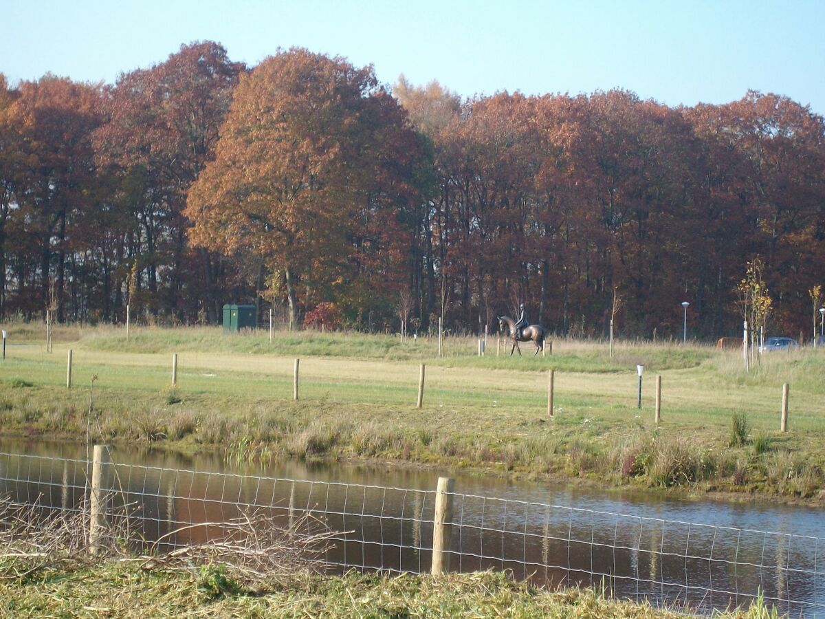 Holiday park Quiet Glade Stay with Kid - Outdoor photo 5
