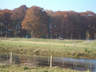 Holiday park Quiet Glade Stay with Kid - Outdoor photo 5