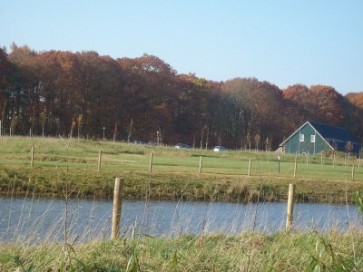 Holiday park Quiet Glade Stay with Kid - Outdoor photo 11