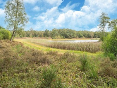 Holiday park Quiet Glade Stay with Kid - Environment photo 32