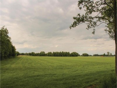 Holiday park Quiet Glade Stay with Kid - Environment photo 33