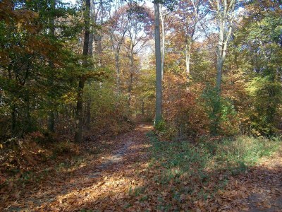 Holiday park Quiet Glade Stay with Kid - Environment photo 35