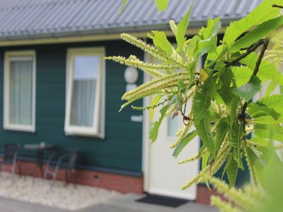 Holiday park Gemütliches Haus am Waldrand - Outdoor photo 11