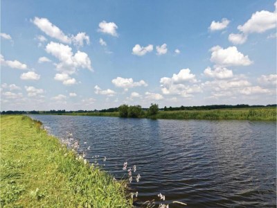 Holiday park Gemütliches Haus am Waldrand - Environment photo 26