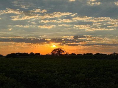 Holiday park Gemütliches Haus am Waldrand - Environment photo 29