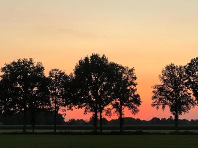 Holiday park Gemütliches Haus am Waldrand - Environment photo 30