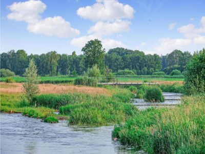 Holiday park Gemütliches Haus am Waldrand - Environment photo 35