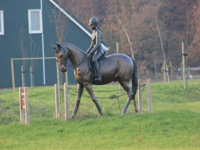 Holiday park Gemütliches Haus am Waldrand - Outdoor photo 40