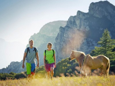 Apartment Wohnung in Axams nahe Axamer Lizum - Environment photo 17