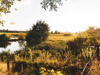 Holiday park Entspannende Landvilla - Environment photo 10