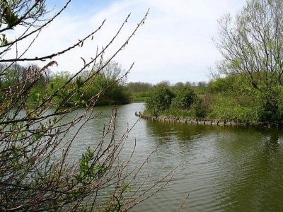 Holiday park Lodge in Vlissingen nahe Nordseestrand - Environment photo 31