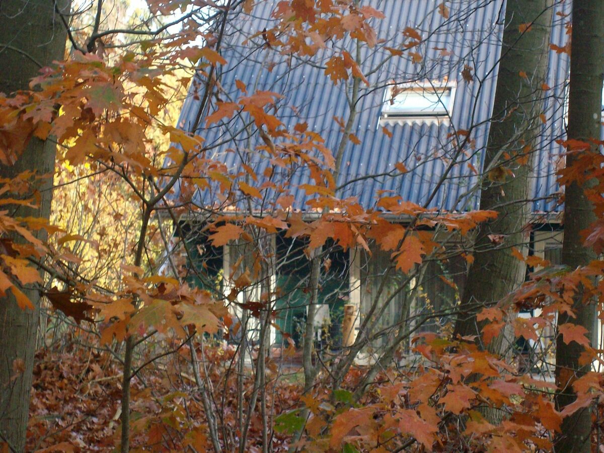 Holiday park Entspannender Rückzugsort im Wald - Outdoor photo 4