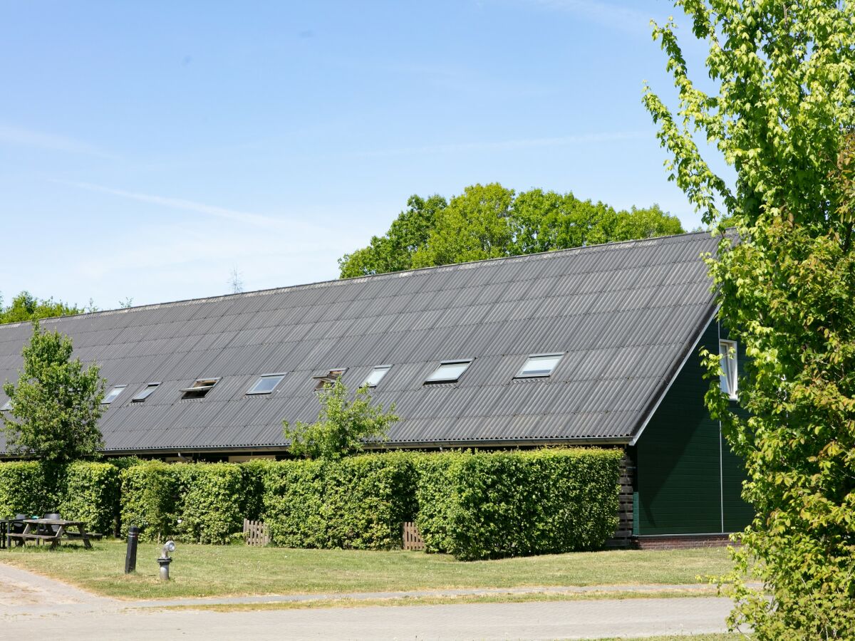 Holiday park Entspannender Rückzugsort im Wald - Outdoor photo 5