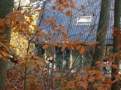 Holiday park Entspannender Rückzugsort im Wald - Outdoor photo 4