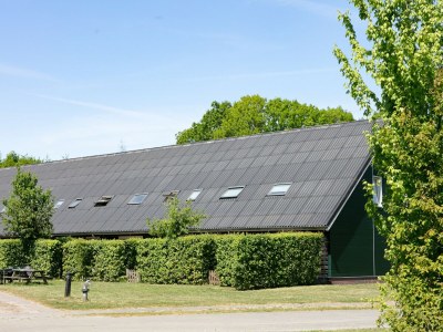 Holiday park Entspannender Rückzugsort im Wald - Outdoor photo 5