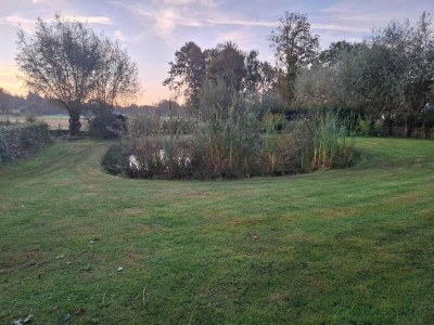 Holiday park Entspannender Rückzugsort im Wald - Environment photo 28