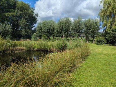 Holiday park Entspannender Rückzugsort im Wald - Environment photo 32