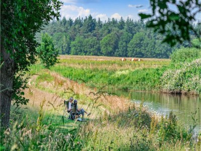 Holiday park Entspannender Rückzugsort im Wald - Environment photo 36